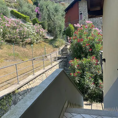 Panoramic Pool View With Parking